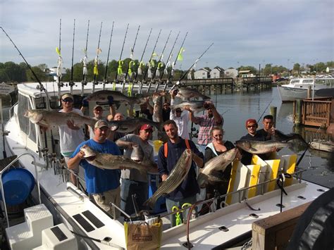 Katherine Charter Fishing Llc Chesapeake Beach Charter