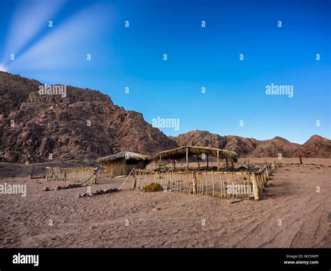 Deserted Beduin Homes In The Sinai Desert Egypt Stock Photo Alamy