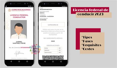 Licencia Federal De Conducir Tipos Costos Y Requisitos Para