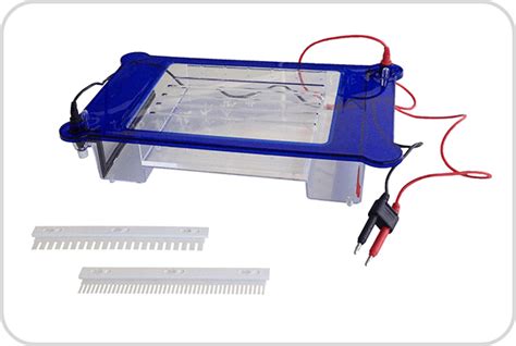 Tanque Horizontal De Electroforesis Belltanqelechor Cotecno