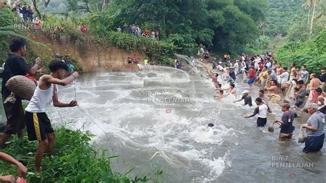 Jala Ikan Di Sungai Di Sungai Lubuk Larangan Hanopan Sibatu Hasilnya