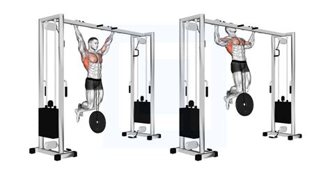 Cable Reverse Grip Pulldown - Guide, Benefits, and Form