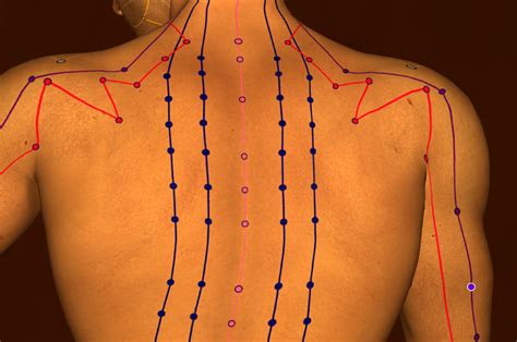 Calming The Triple Warmer Meridian To Improve Sleep Kaplan Center For