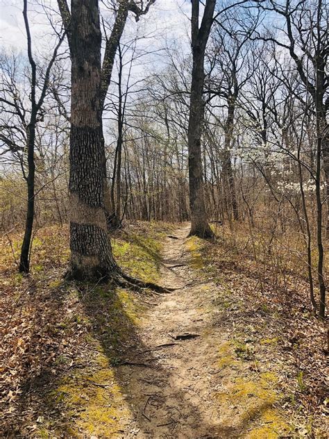 Dry Run Trail To Pimiteoui Trail Illinois Alltrails