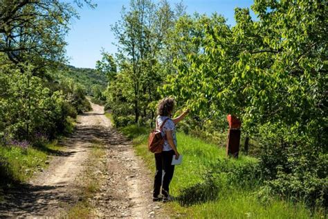 Caminar Por La Monta A Consejos Para Practicar Senderismo Gu A