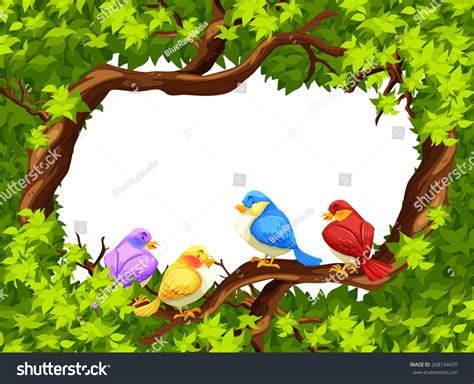 Four Birds Sitting On A Branch Of A Tree Stock Vector