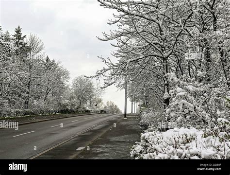 Xpsx Local Hanau Winter Snow Back In Hanau Left To Right