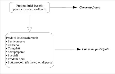 Classificazione Dei Prodotti Ittici In Base Alle Diverse Forme Di