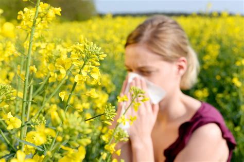 Antihistaminika Alle Infos Rund Um Das Medikament Gegen Allergien