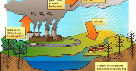 Acid rain: Definition, Causes and Effects - Acid Rain Formula ~ Biology ...