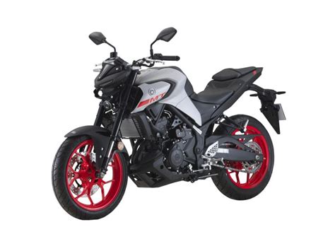 Motor Yamaha Mt 250 Atelier Yuwaciaojp