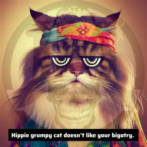 Hippie Grumpy Cat By Jasonmanson On Deviantart