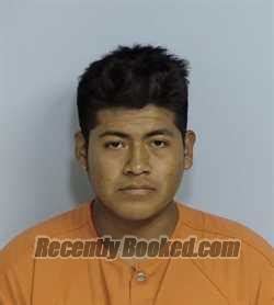 Recent Booking Mugshot For Edgar Fernando Perez Morales In Walton