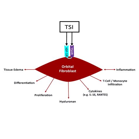 Thyroid Eye Disease Eyerounds