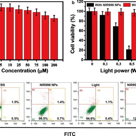 Cytotoxicity Analysis Of NIR998 NPs A The Viability Of SKOV3 Cells