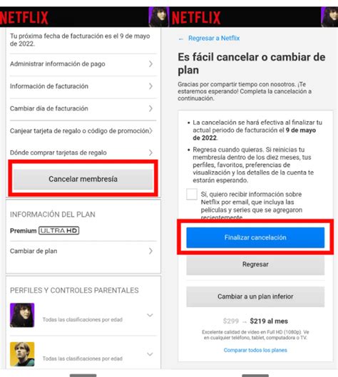 Como Cancelar La Suscripción De Netflix DonComo