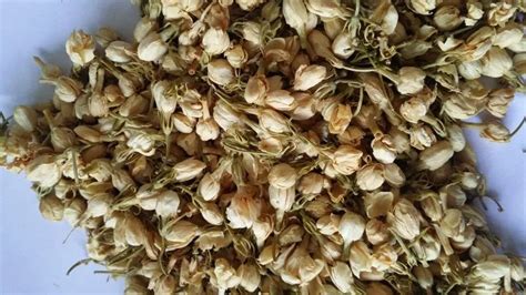 Dried Jasmine Flowers Natural Herbs High Quality Dried Jasmine Flower Buy Dry Jasmine Flowers