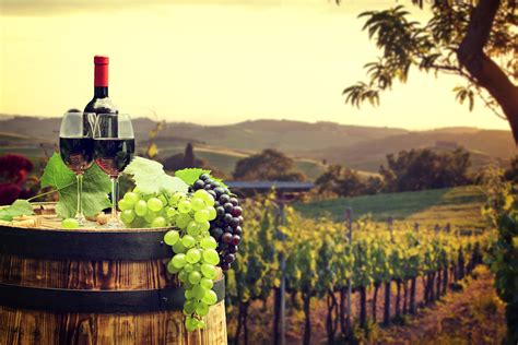 Wine Country Wallpapers Top Free Wine Country Backgrounds