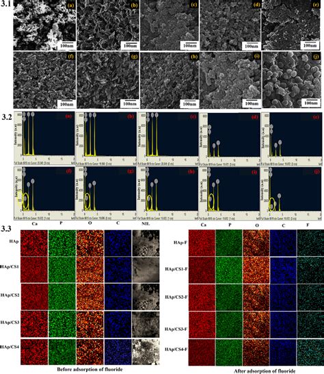 Sem Micrograph Edx Spectra And Elemental Mapping 3 1 A E Sem Image Download Scientific