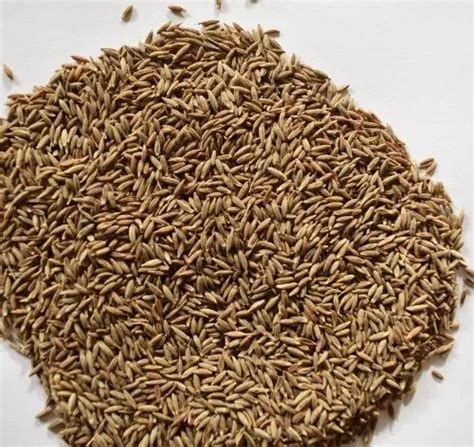 Shree Krishana Brown Cumin Seed Jeera Packaging Size Kg At Kg