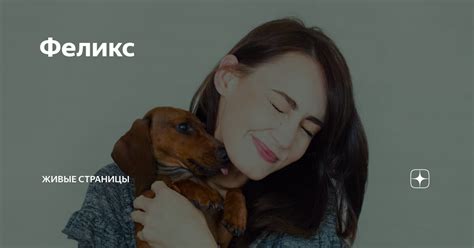 Феликс | Живые страницы | Дзен