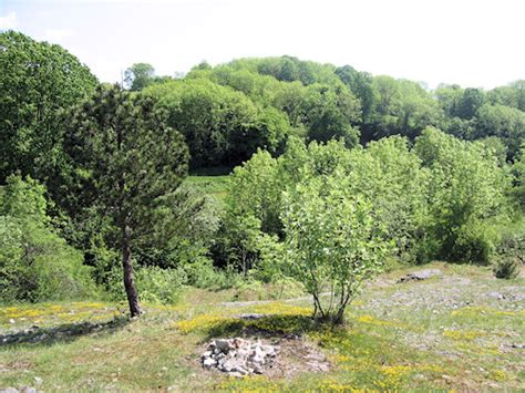 Croix Du Dan Poligny Svt Acad Mie De Besan On