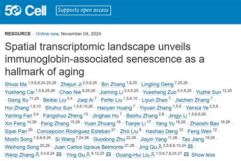 Cell Spatial Transcriptomic Landscape Unveils Immunoglobin