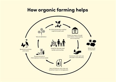 Organic Farming How It Helps To Conserve The Environment The Agrotech Daily