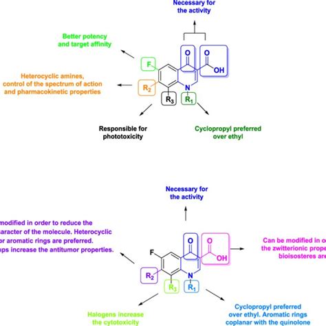 Antimicrobial A And Antitumoral B Structure−activity Relationships