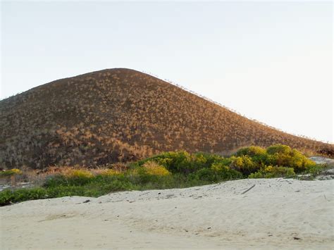 Punta Cormorán Floreana Island Punta Cormorant Is One Of Flickr