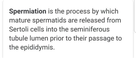 what is spermiation - Brainly.in