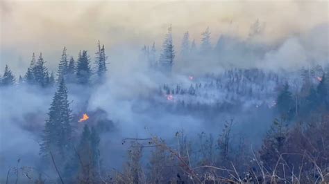 Nakia Creek Fire In Washington Explodes In Size Forcing Evacuations