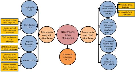 An Overview Of Noninvasive Brain Stimulation Basic Principles And