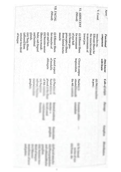 Solution Cranial Nerve Studypool