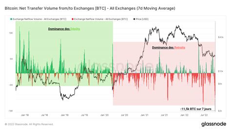 Analyse On Chain Du Bitcoin BTC Quelle Position Adoptent Les