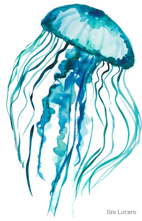 "Watercolor Jellyfish" Stickers by Ilze Lucero | Redbubble