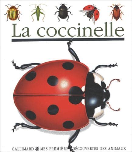 La Coccinelle Mes Premieres Decouvertes Des Animaux By Sylvaine