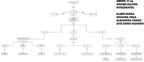 Solution Mapa Conceptual Studypool 2958 The Best Porn Website