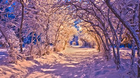 Enchanting Winter Wonderland Hd Wallpaper