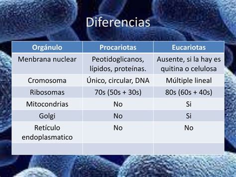 Generalidades Bacteriolog A Pptx