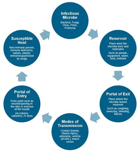 Diagram Of Chain Of Infection For Nurse Aides