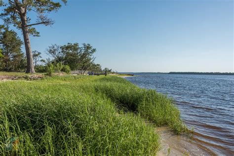 Carolina Beach State Park - CarolinaBeach.com