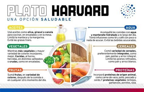 Plato Harvard Cómo Preparar Un Plato Saludable Exponential Academy