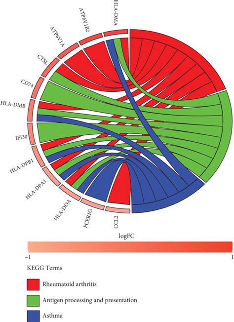 Go And Kegg Enrichment Analysis Results Of Degs A The Circle Diagram