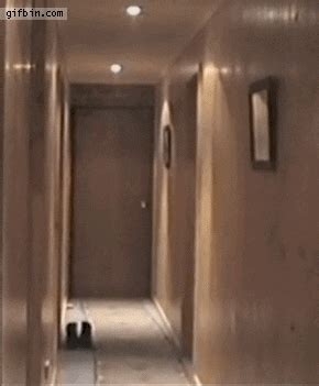 Door GIF - Find & Share on GIPHY