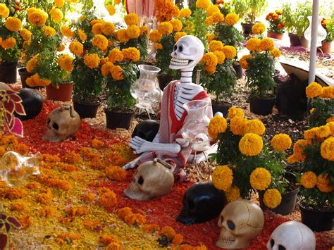 Marigolds Day Of The Dead