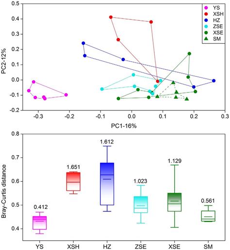 Principal Coordinate Analysis Pcoa Based On Bray Curtis Distance For