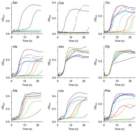 Some Amino Acids Inhibit Growth Of E Coli Growth Curves At 37 Bullet