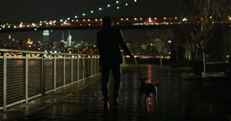 6 Fakta Anjing Pitbull John Wick Hewan Pengganti Daisy