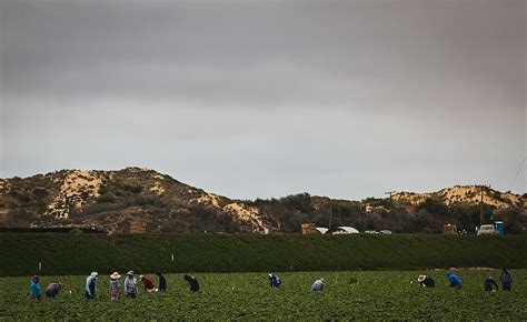 Farm Workers Lives On The Line As California Burns Liberation News